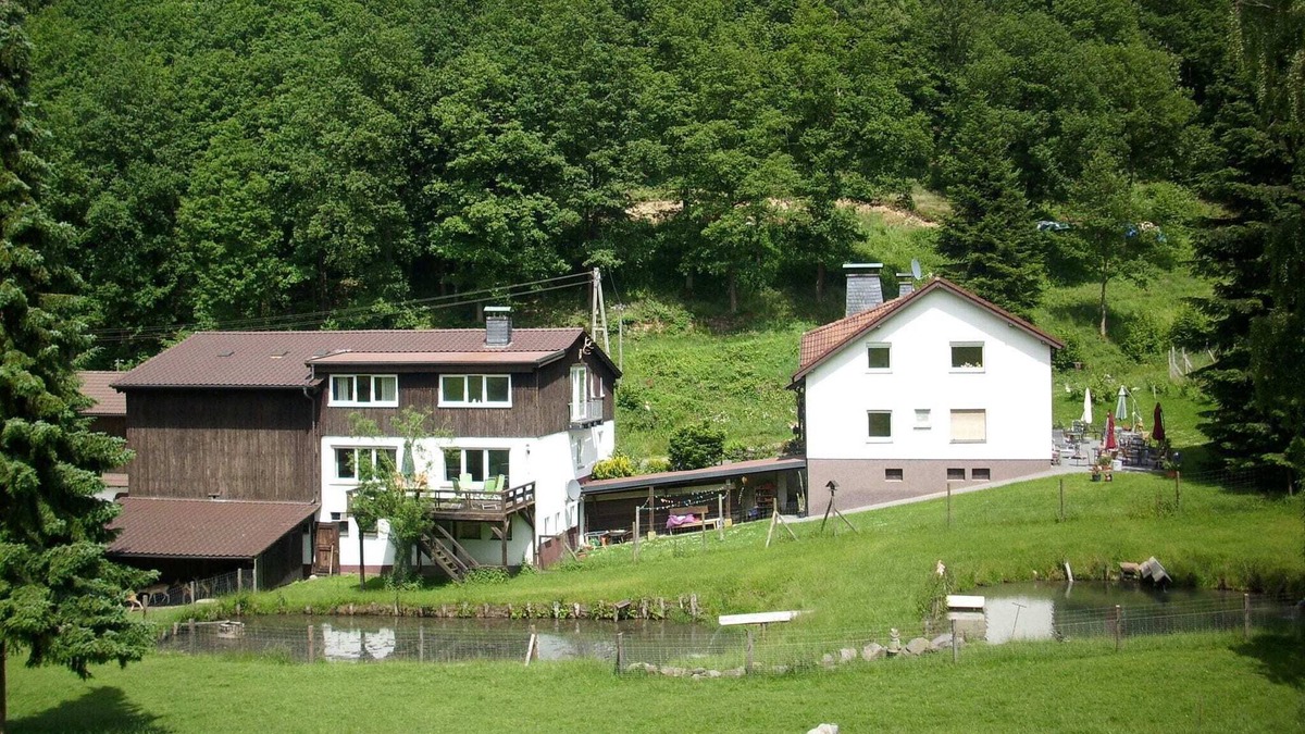 Oberveischede Apartment | Cozy Apartment in Bruchhausen with Terrace