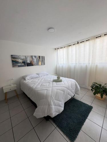 Apizaco Apartment | Cozy apartment