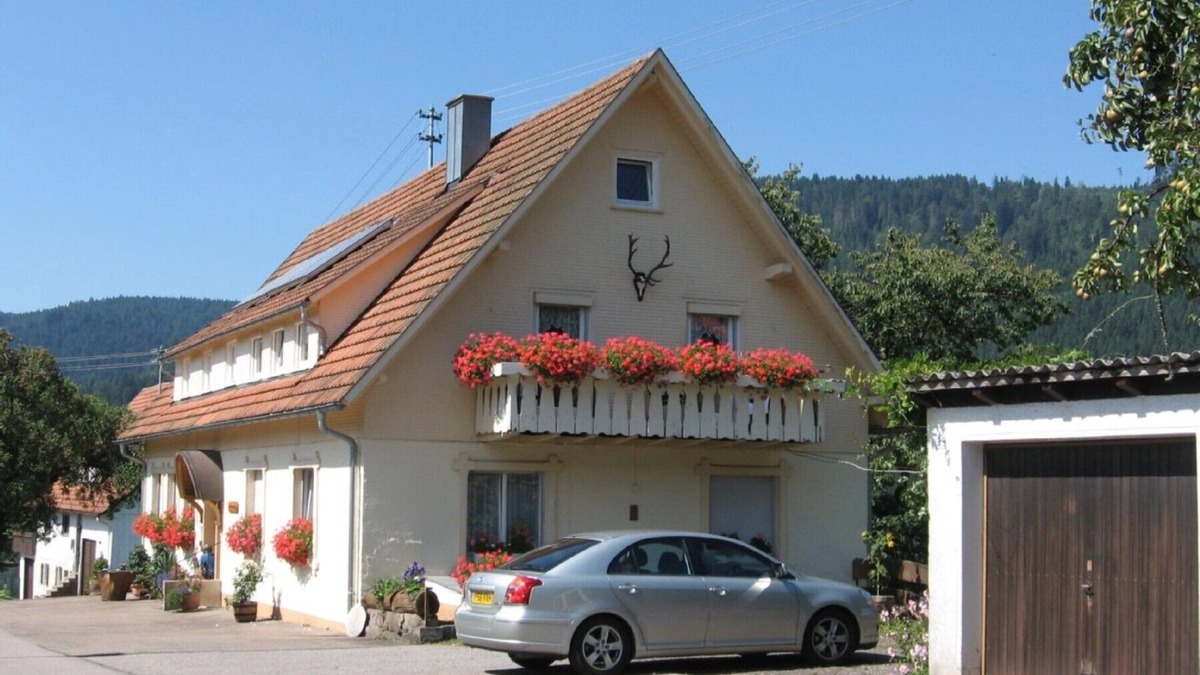 Schonegrund Apartment | Cozy apartment with Murgtalblick 9 km from Baiersbronn