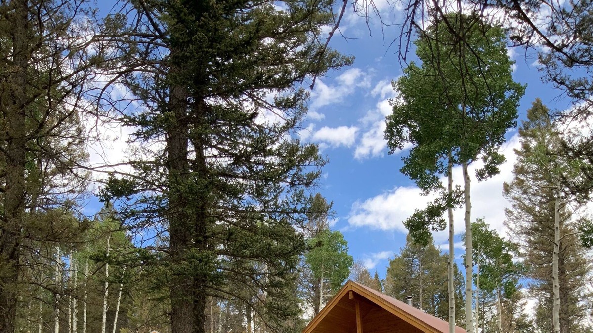 Cimarron House | Cozy Arrowhead Cabin