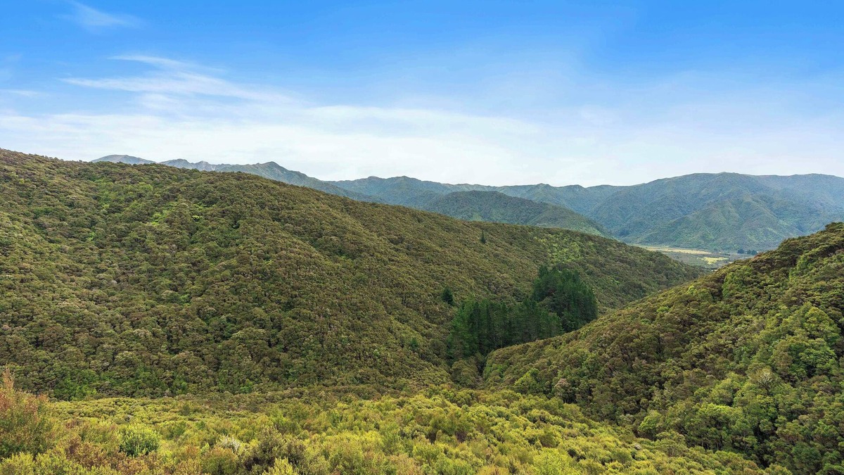 Eketahuna Cabin | Cozy back country hunting cabin. Peace, quiet and miles of bush.