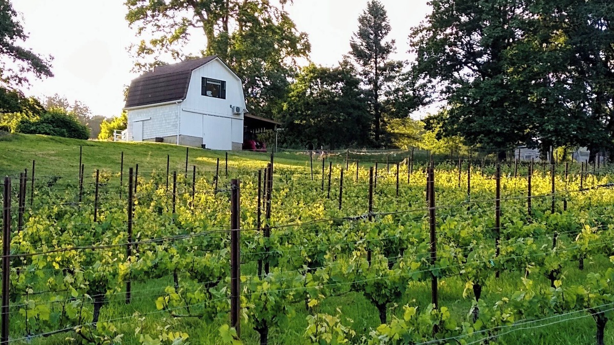 Salem Apartment | Cozy Barn Cottage Retreat nestled in the vineyards of Eola-Amity Hills