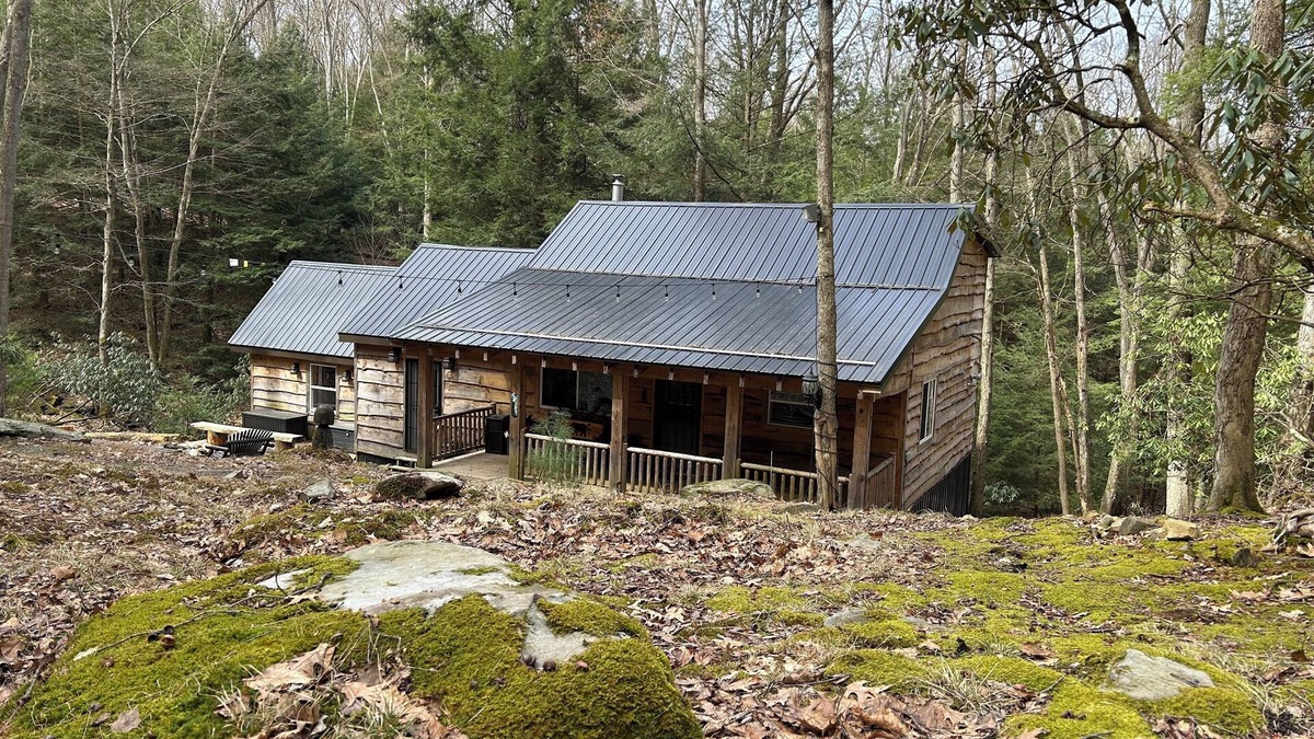 Clarington Cabin | Cozy Bear Cabin in Cook Forest 2 miles from the Clarion River!