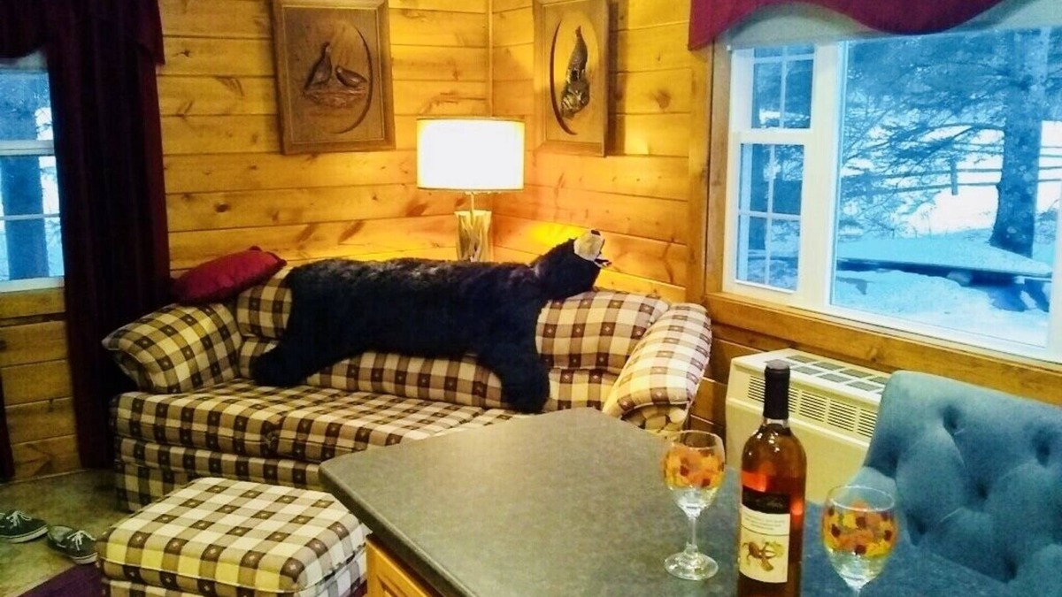 Three Lakes Cottage | Cozy Beautiful Cottage on Maple Lake!
