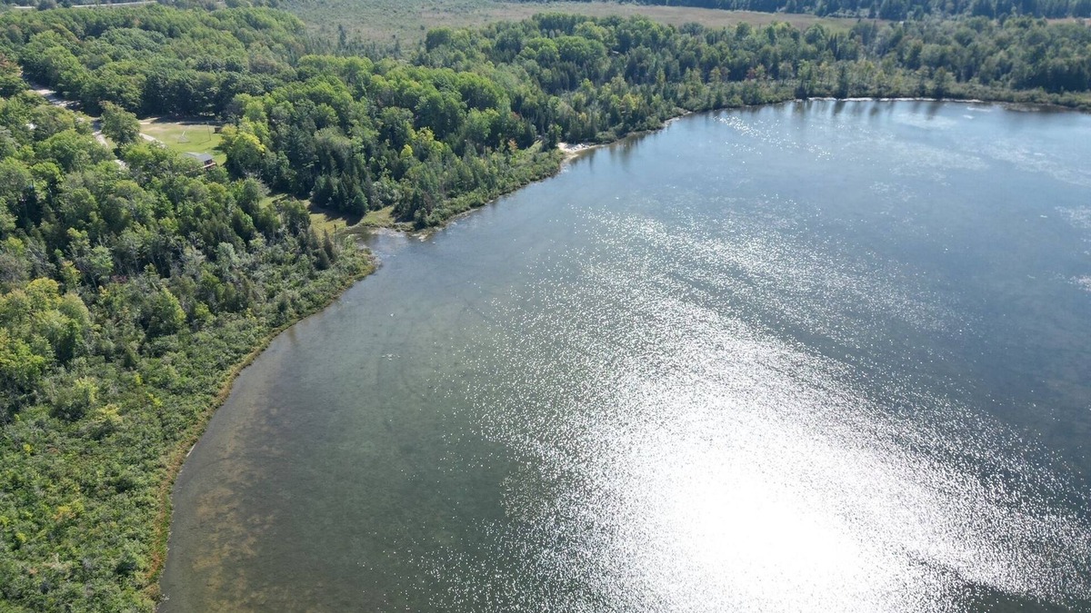 Hale Other | Cozy Beautiful log cabin situated on acreage next to East Stylus Lake