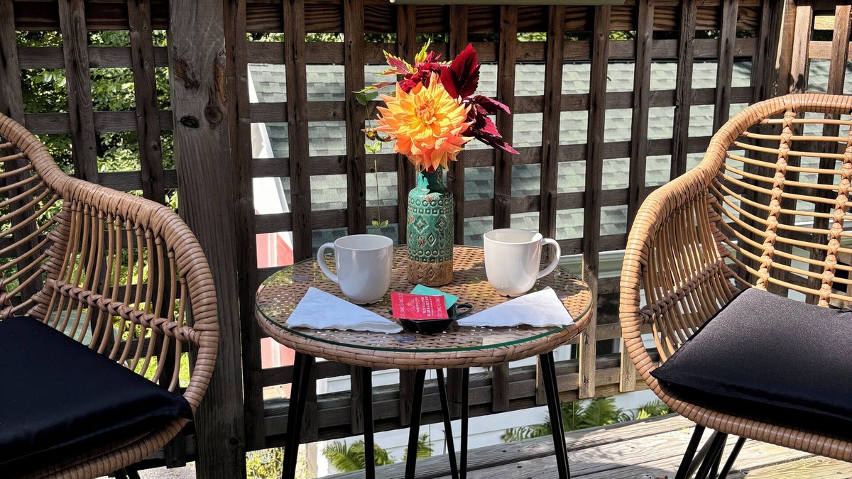 Mount Tremper Apartment | Cozy bright sunny 1-bedroom with quiet AC and WiFi in charming Mount Tremper