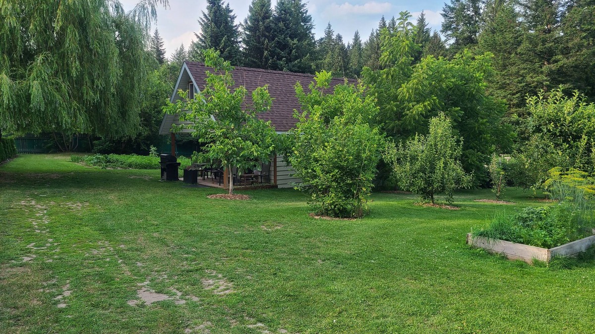 Tappen House | Cozy Cabin, 2 min to the HWY1, 5 minutes to the Shuswap lake