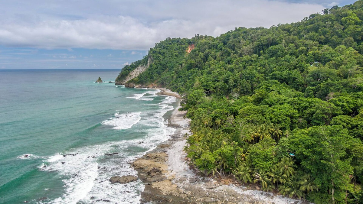 Palma Cabin | Cozy cabin 200 meters from Cabo Matapalo Beach