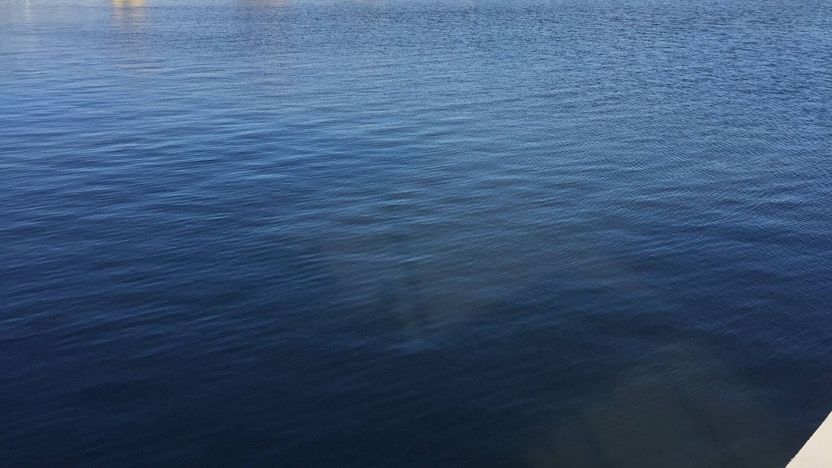 Kingsland Cabin | Cozy Cabin # 5 on Lake LBJ