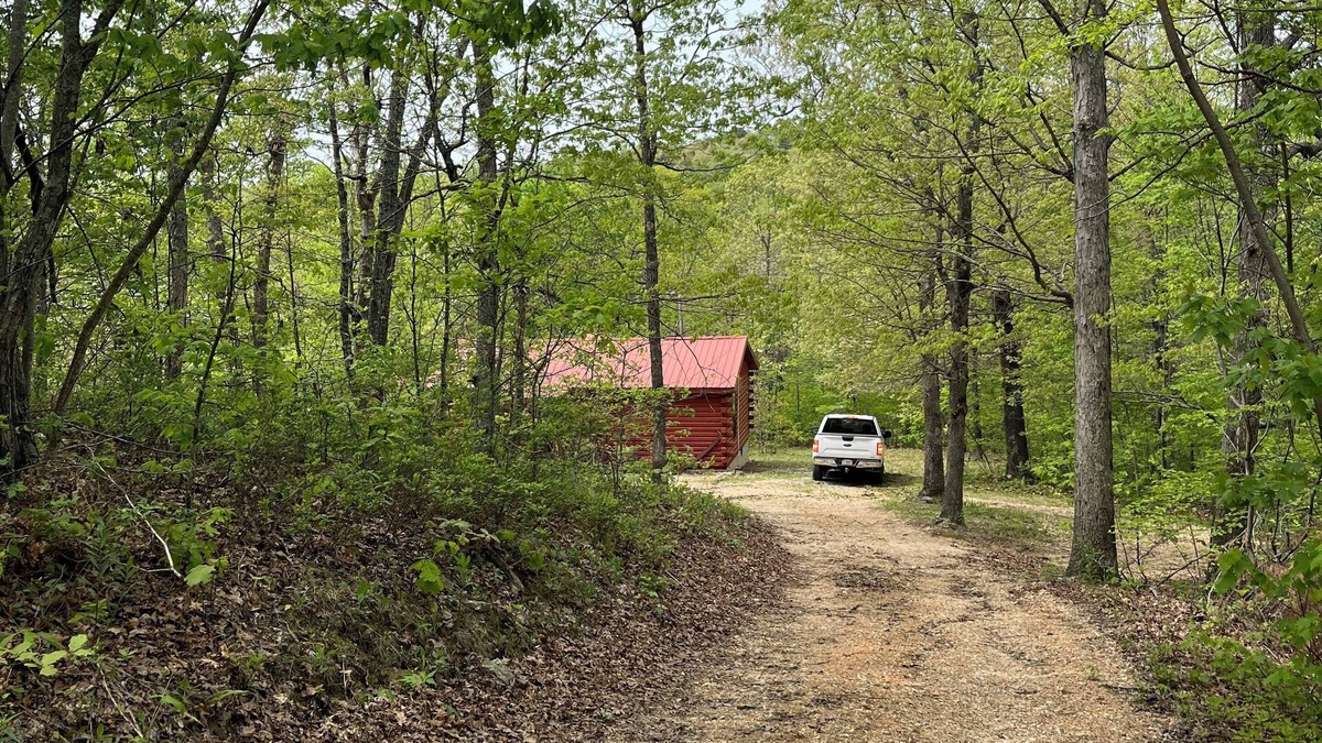 Jasper Cabin | Cozy Cabin across the street from the Arkansas Grand Canyon on Hwy 7