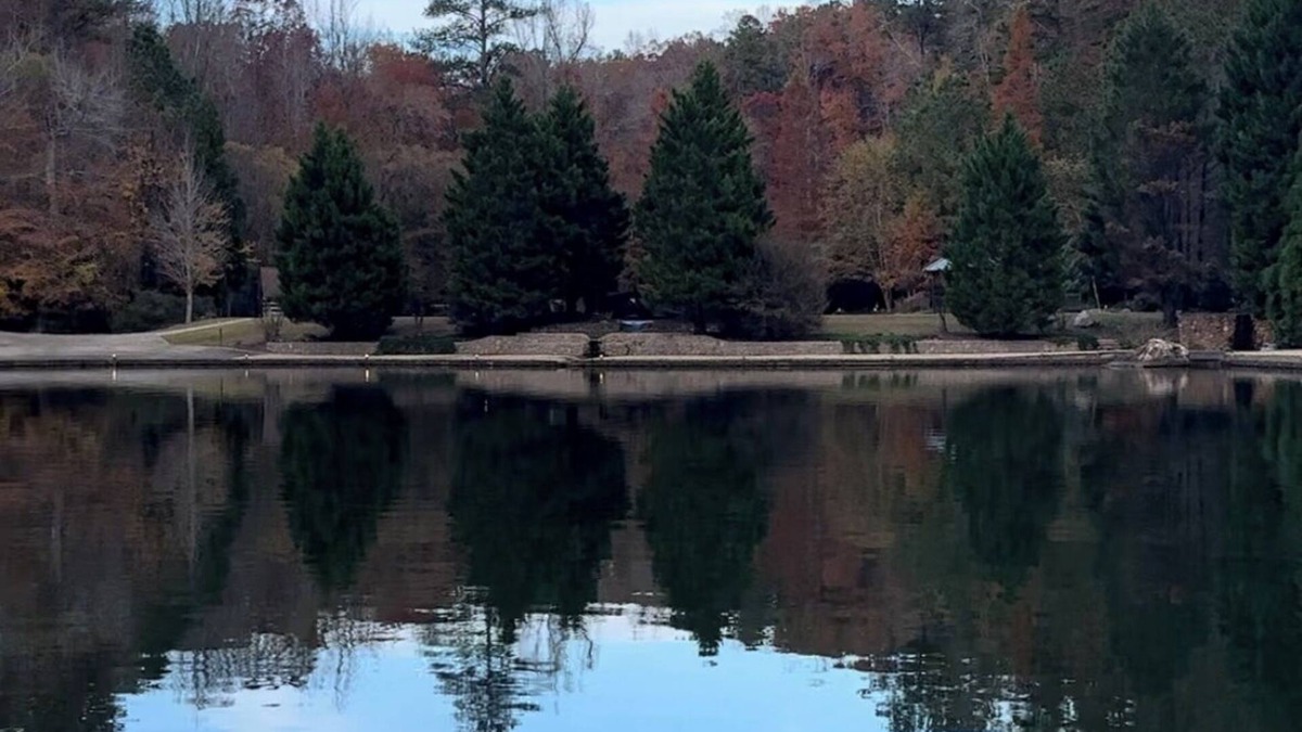 Dallas Cabin | Cozy cabin at Indigo Falls