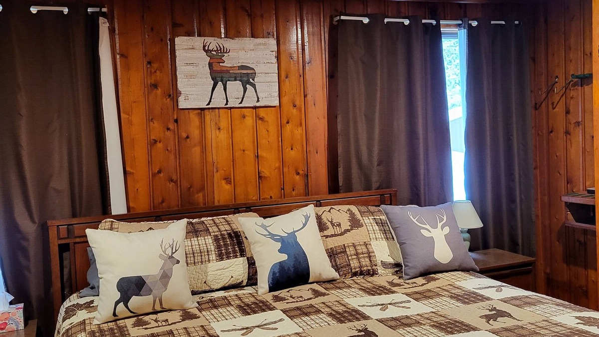 Shingleton House | Cozy cabin close to trails!