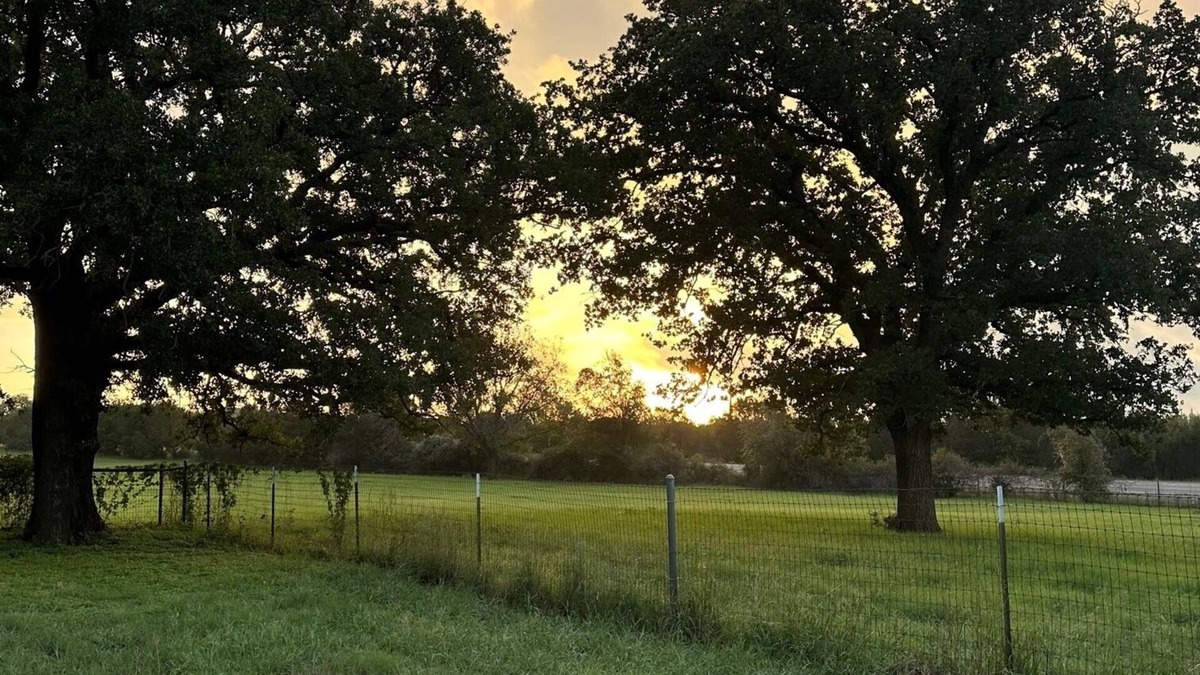 Glen Rose Cabin | Cozy cabin in Glen Rose with AC, WiFi, Close to all major attractions!
