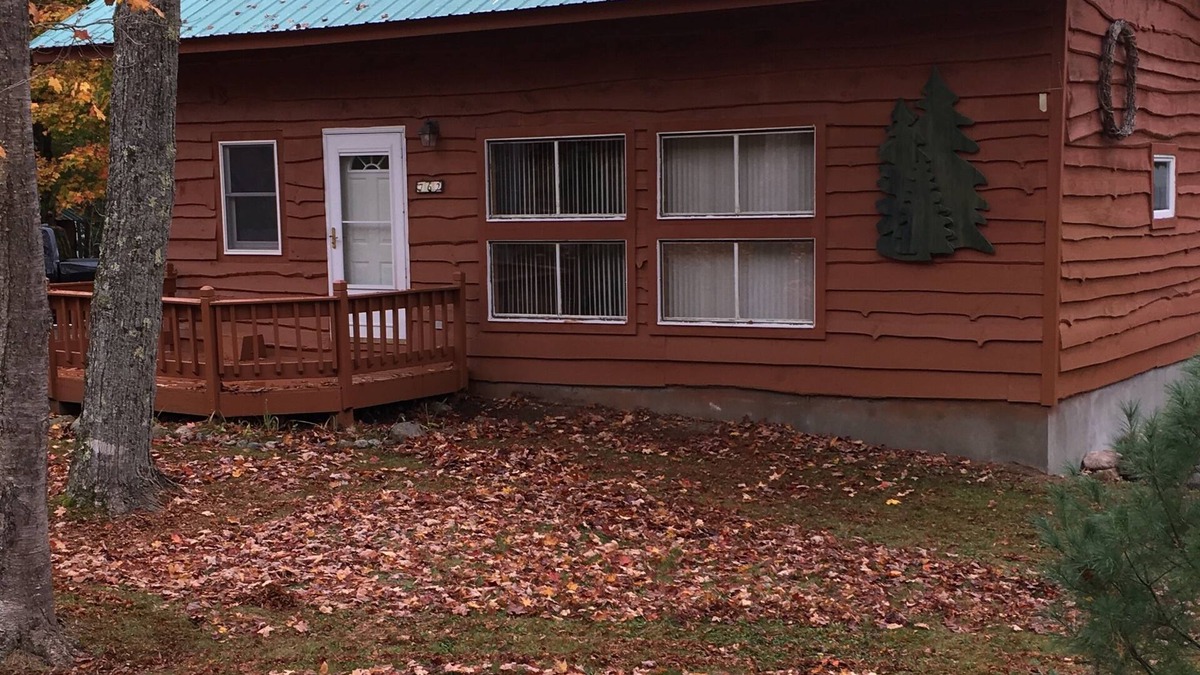Old Forge Cabin | Cozy cabin in Old Forge. 3 miles north of town.