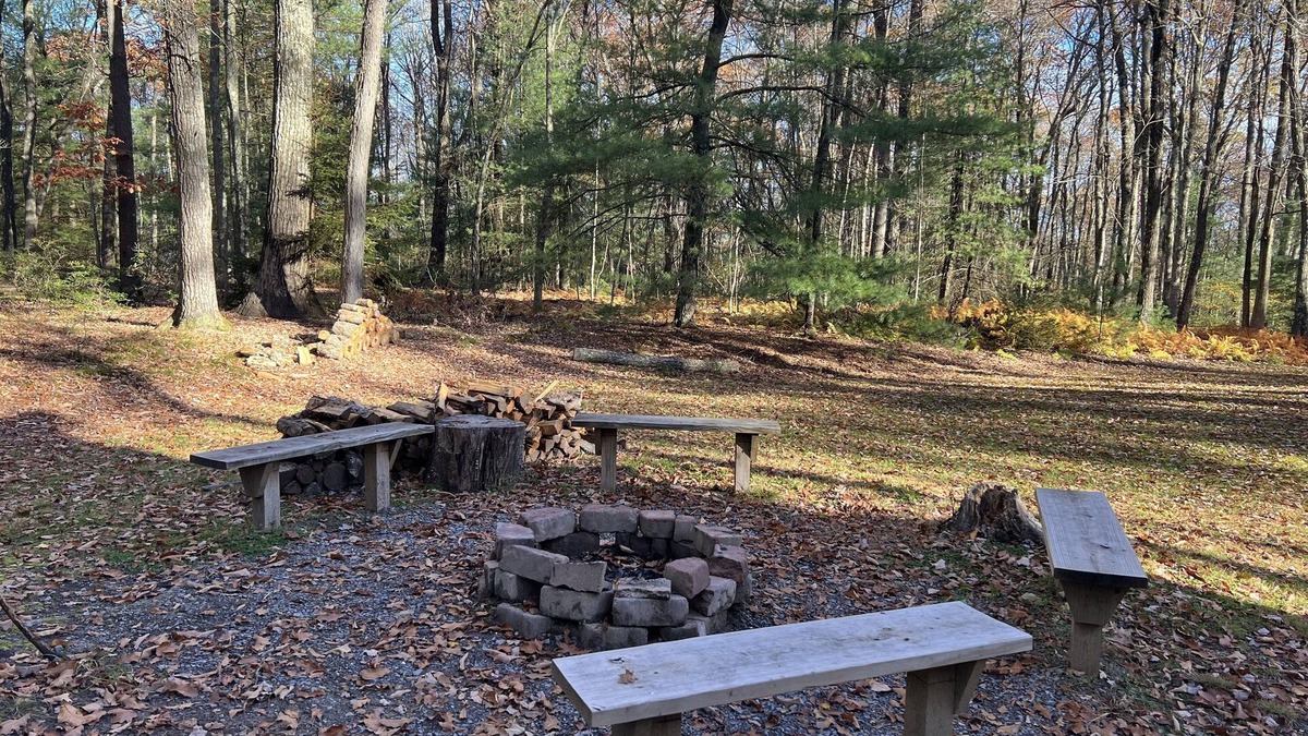 Lock Haven Cabin | Cozy Cabin in the heart of the Big Woods