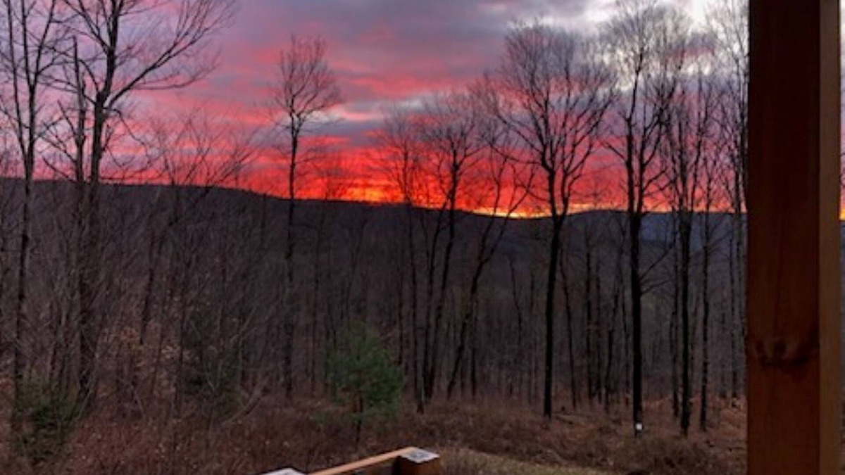 Bovina Center Cabin | Cozy cabin in the woods on top of the ridge. A quiet retreat.