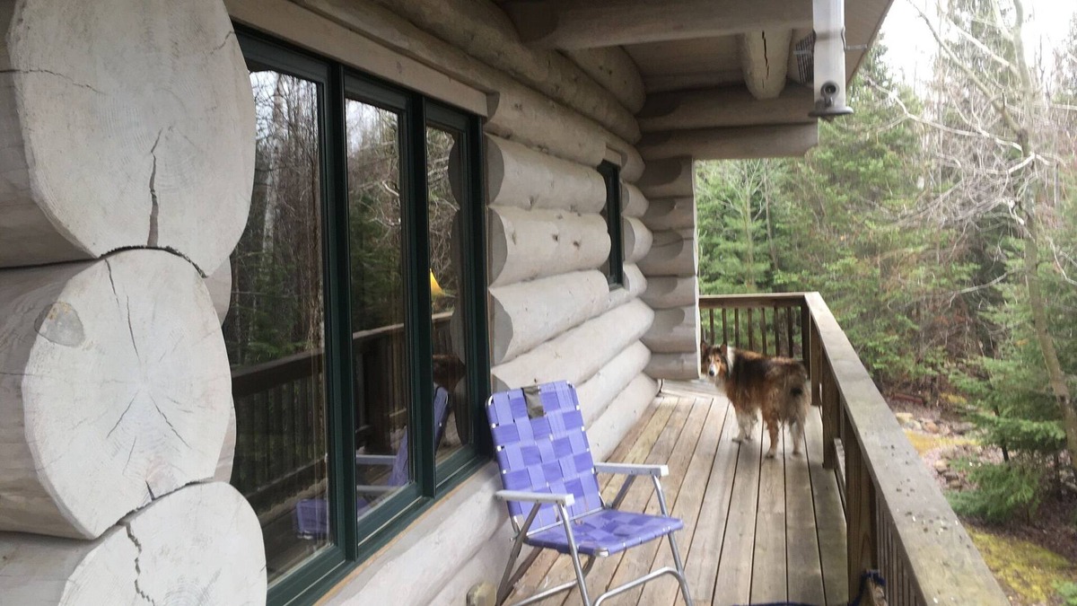 Grand Marais Cabin | Cozy cabin in the woods