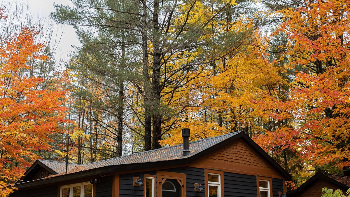 Utterson Cabin | Cozy Cabin in the Woods - The Doma Lodge
