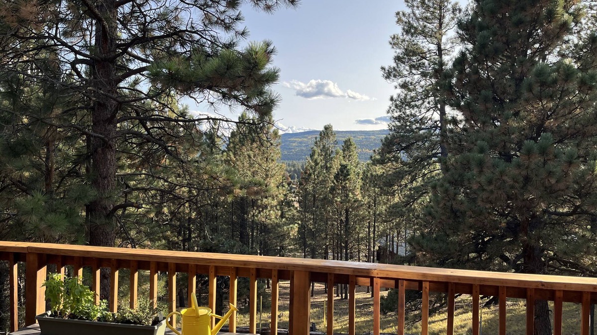 Angel Fire Cabin | Cozy cabin in the woods. 12 min from the Angel Fire ski resort; 6 to golf course