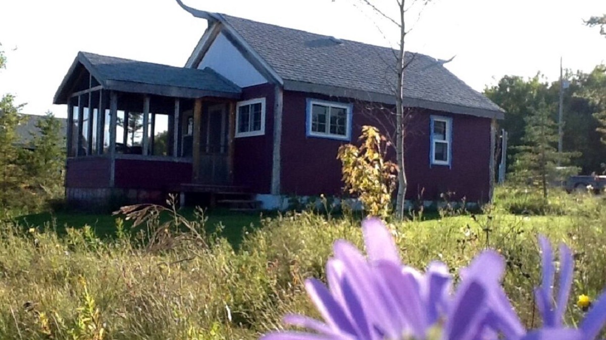 Manitoba Cottage | Cozy cabin near RMNP with screened-in deck, forest and meadow views