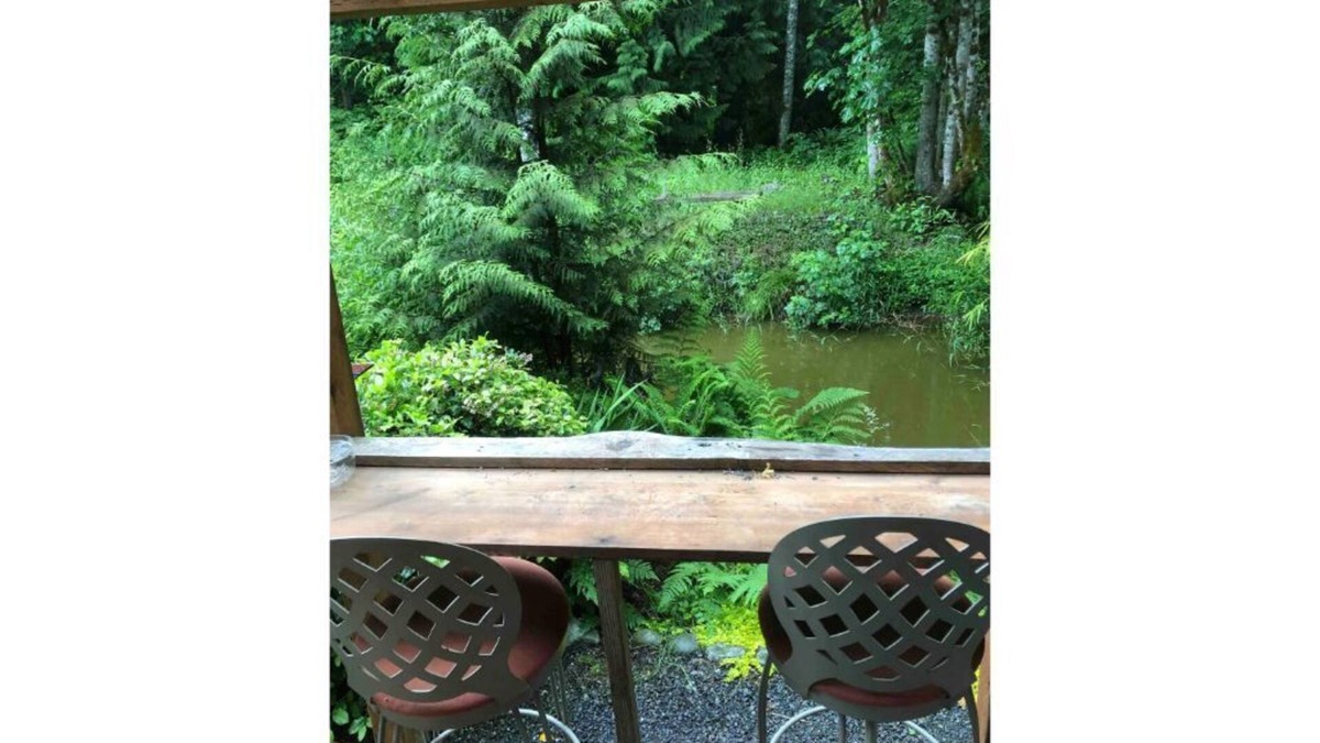 Adelma Beach Cabin | Cozy Cabin Nestled In Magical Olympic Old Growth