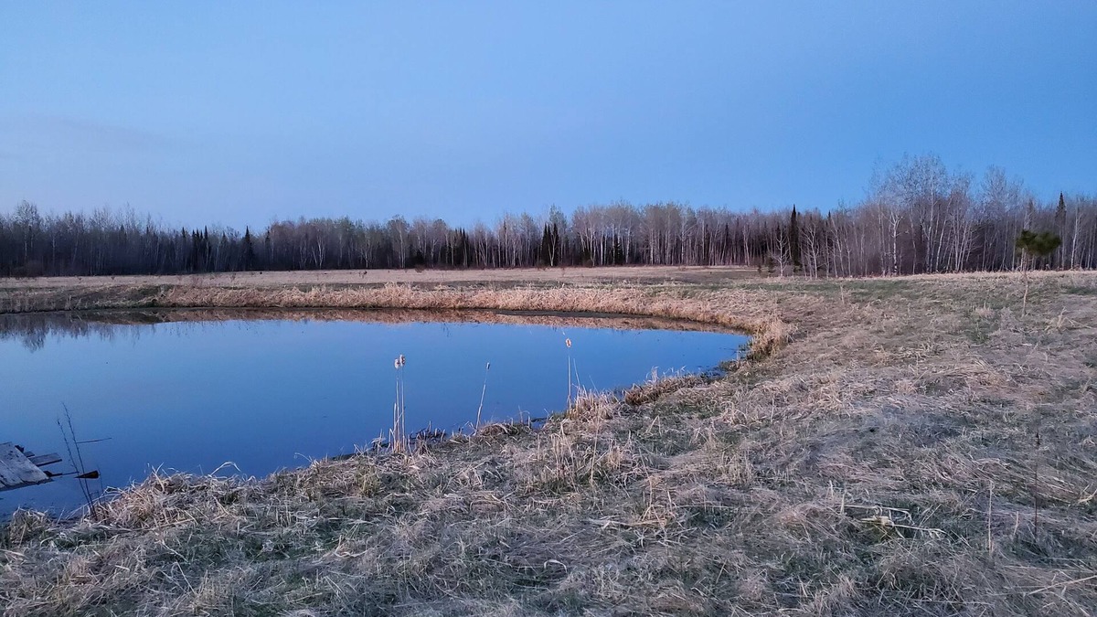 Forbes Cabin | Cozy Cabin on 40 Acres *Near Sax Zim Bog and Access to St. Louis River*