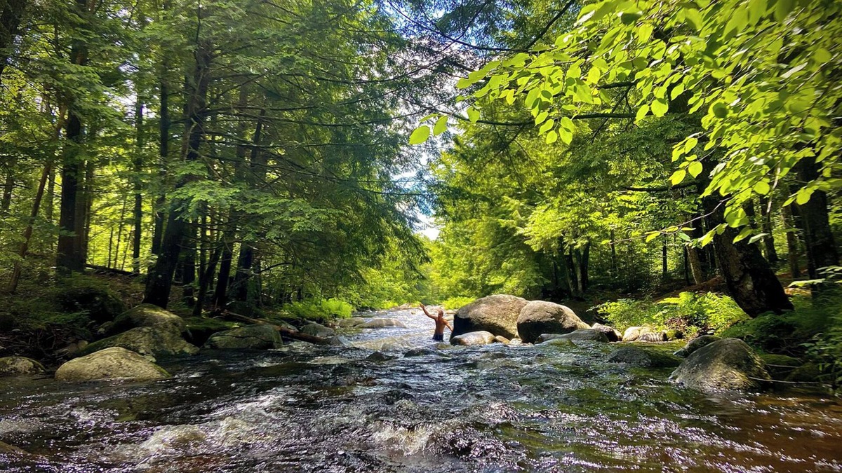 Schroon Lake Cabin | Cozy Cabin on roaring Brook
