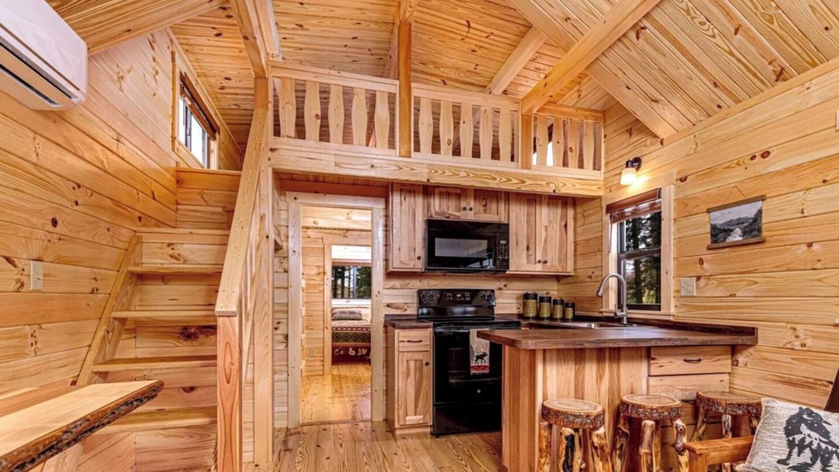 Hector Cabin | Cozy Cabin on Seneca Wine Trail Vineyard View 3