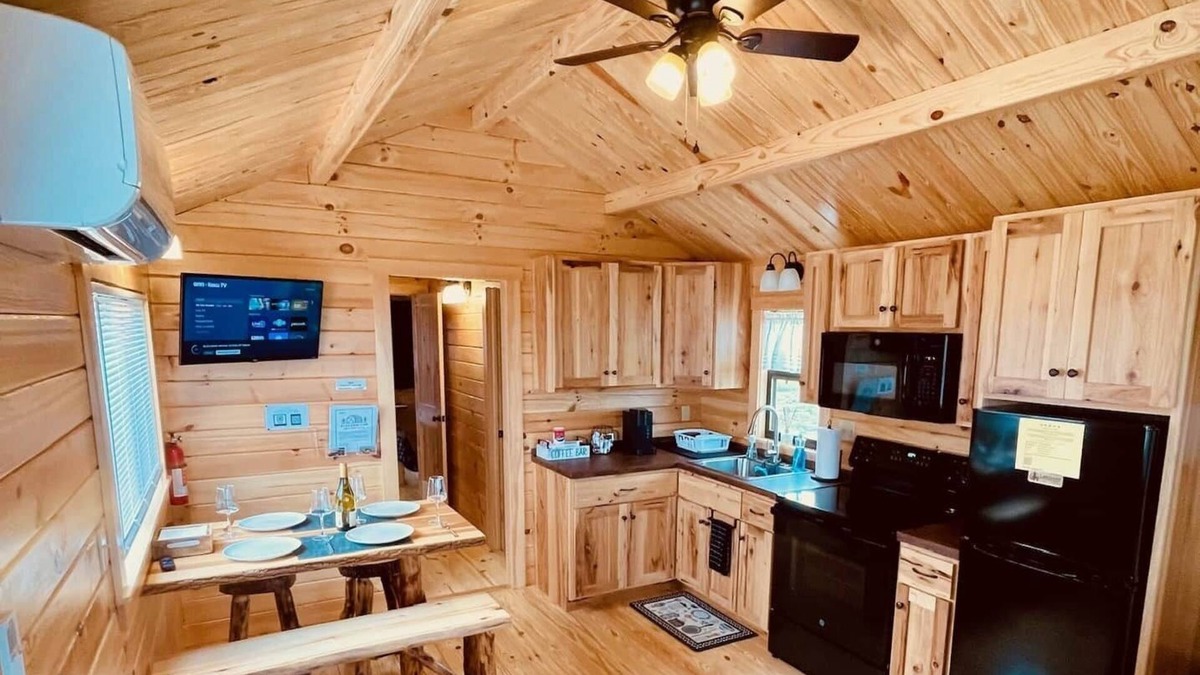 Hector Cabin | Cozy Cabin on Seneca Wine Trail Vineyard View 5