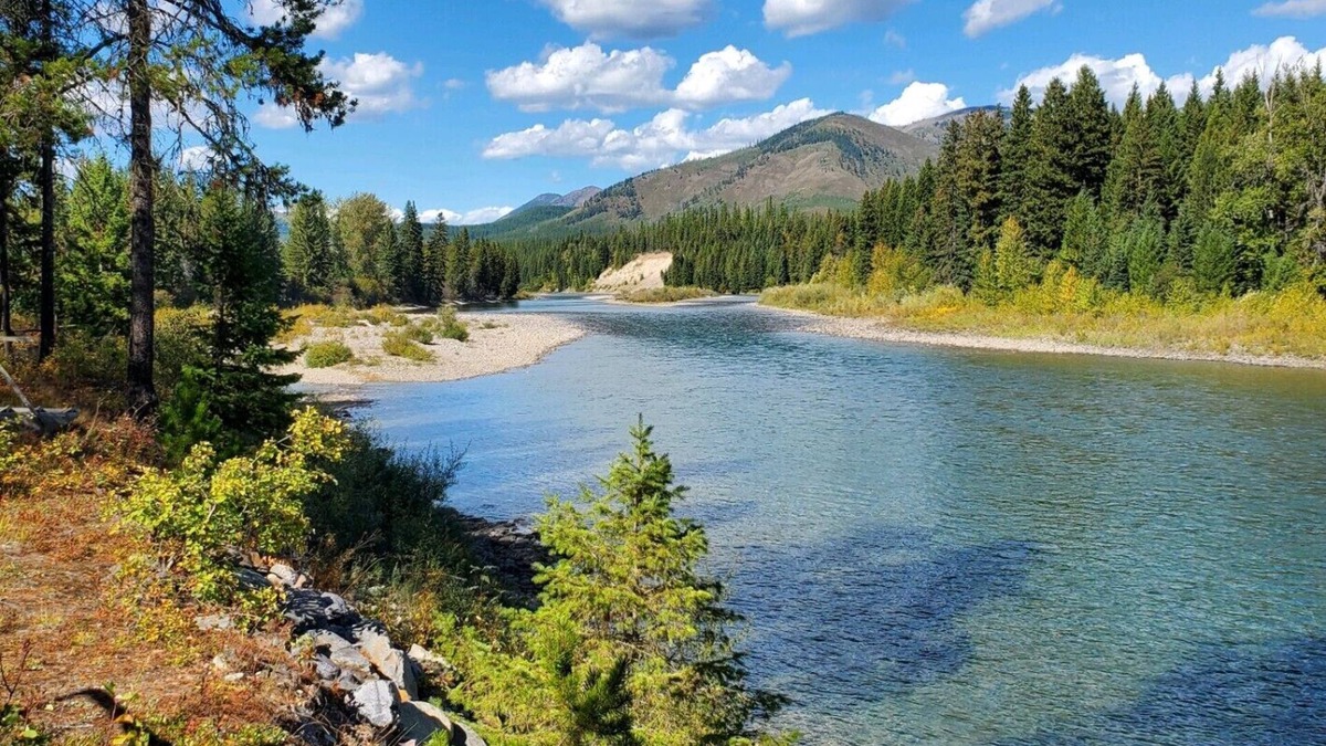 Columbia Falls Cabin | Cozy cabin on the wild & scenic North Fork of Flathead River near Glacier Park