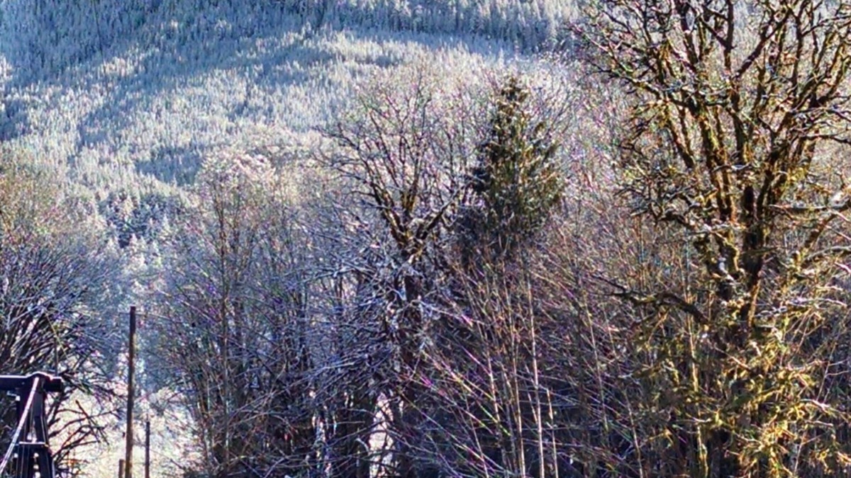 Baring Cabin | Cozy cabin on the river near Stevens Pass. Pet friendly with lots of amenities