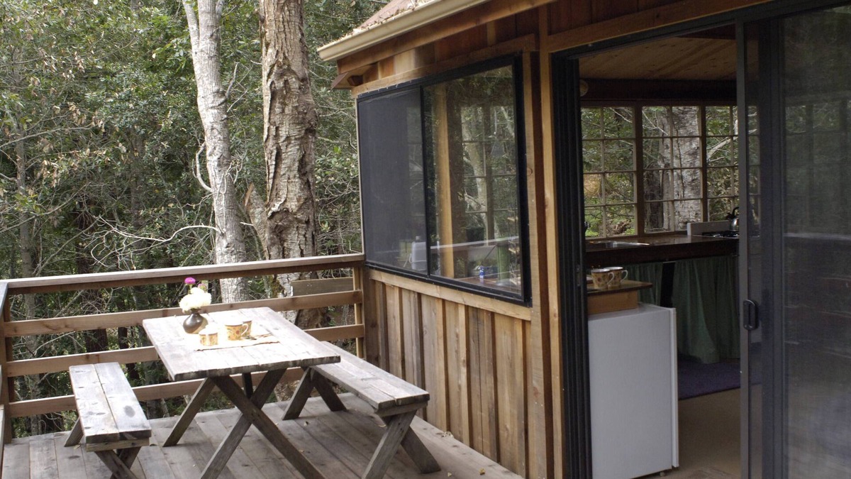 Carmel Cabin | Cozy cabin retreat nestled in the redwoods, in Big Surn