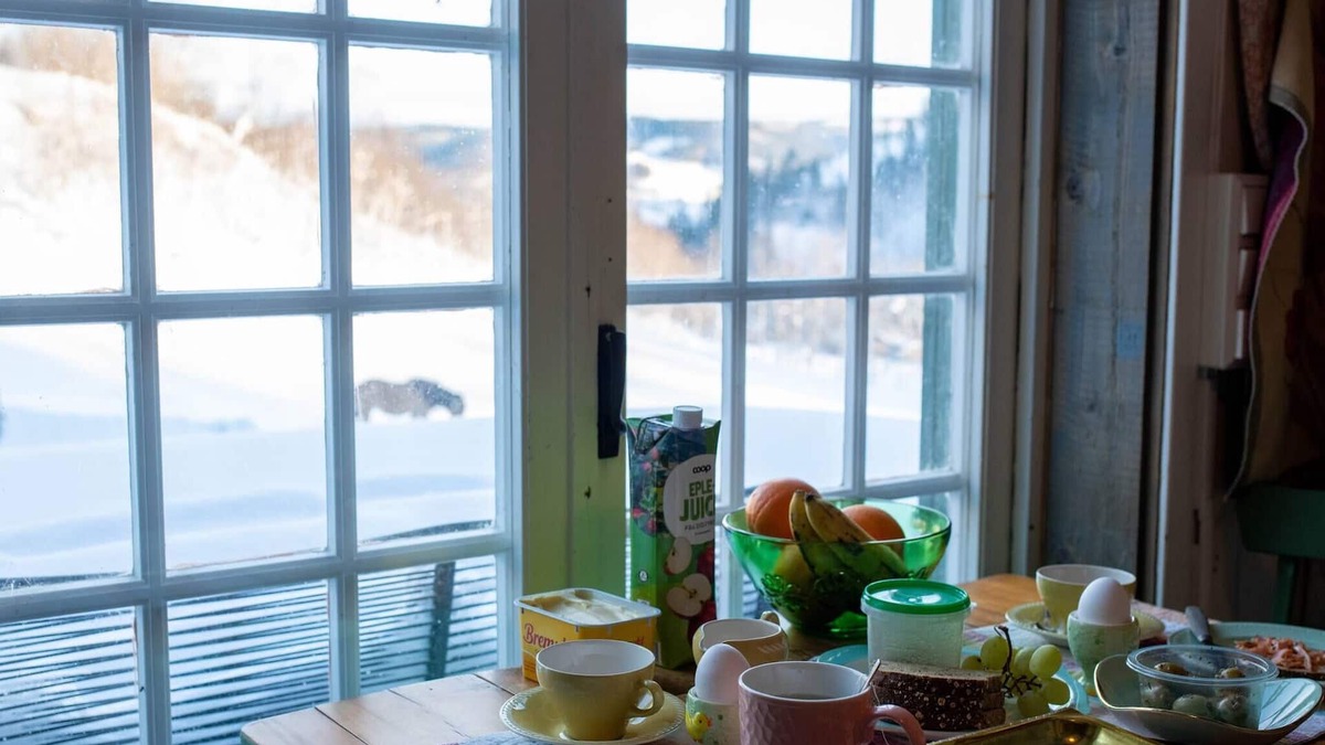 Storen Cabin | Cozy Cabin Retreat in Scenic Valley, E6 South of Trondheim