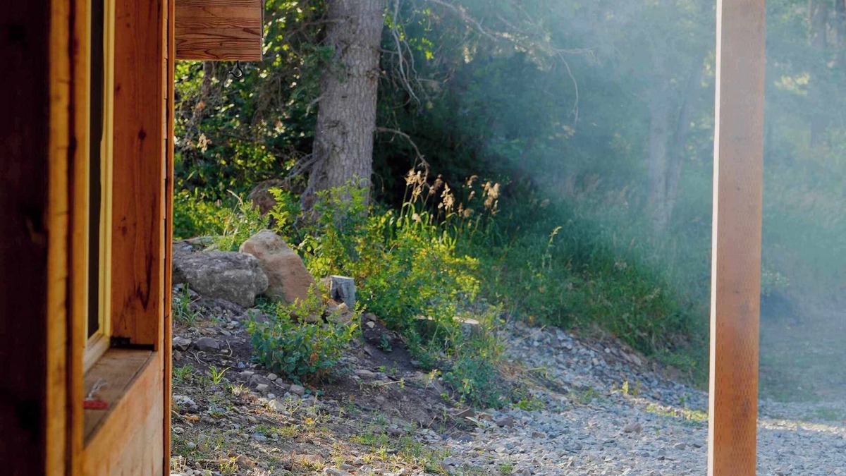 Midway Cabin | Cozy Cabin Retreat with Forest Views