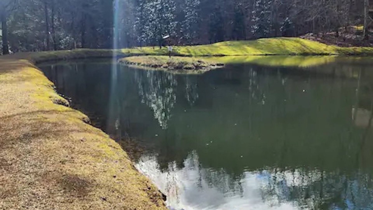 Dahlonega Cabin | Cozy Cabin: River View with Hot Tub
