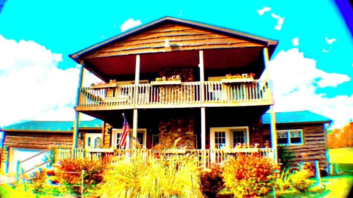 Mingo Cabin | Cozy cabin/Suite with mountain view! Pet Friendly!