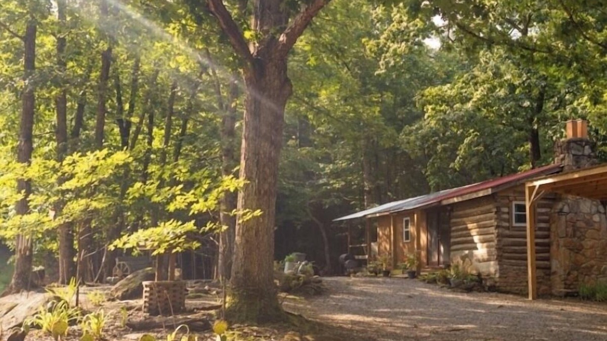Hays Cabin | Cozy Cabin w/Hot-Tub In The Beautiful Mountains of North Carolina,nPet Friendly!