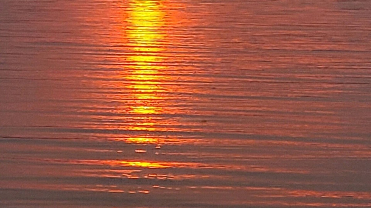 Camano Island Cabin | Cozy cabin with AC & WiFi in charming Camano Island. Walk to beach.