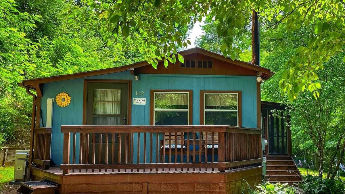 Mars Hill Cabin | Cozy cabin with hi-speed fiber optic. Dog friendly! 40 min to dtwn Asheville.