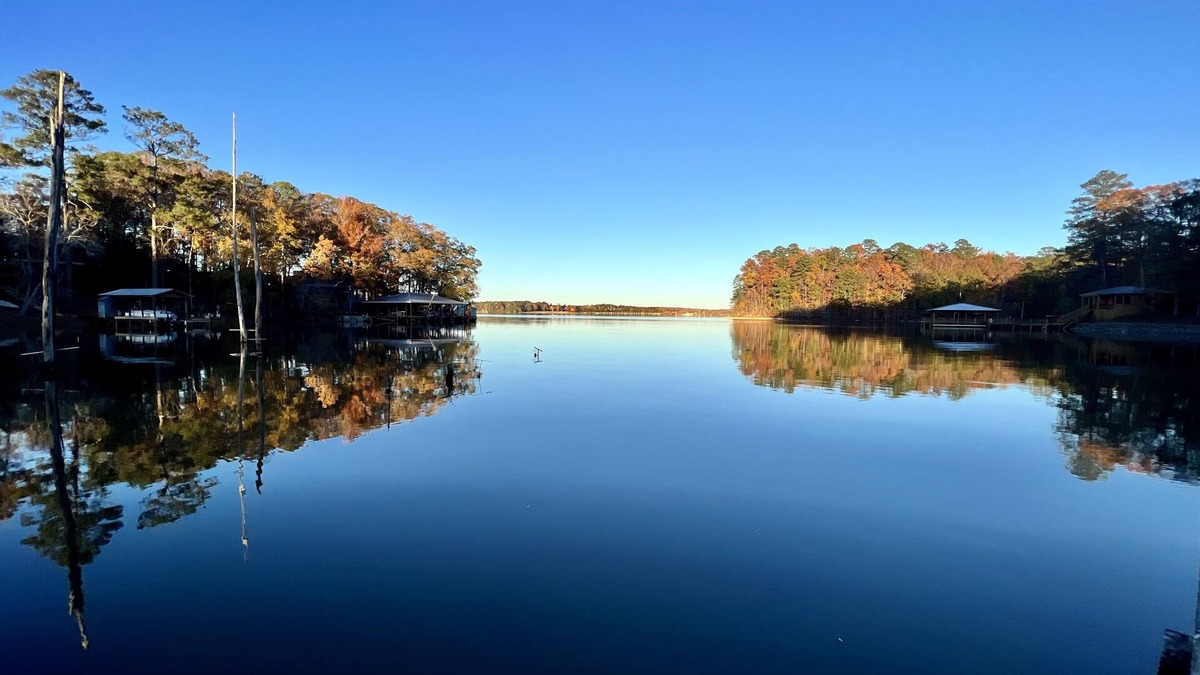 Downsville Cabin | Cozy Cabin with Screened Porch and Fishing Dock on Lake D'Arbonne