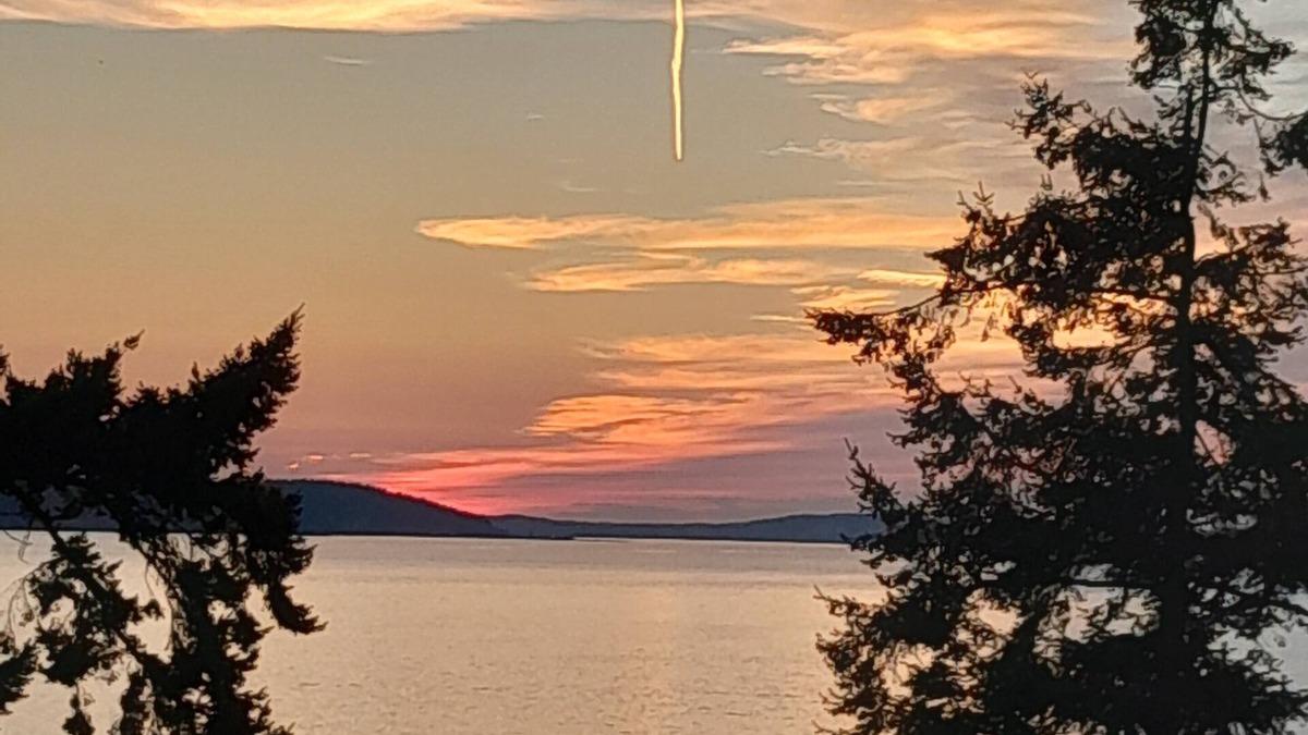 Camano Island House | Cozy Camano Island Retreat & Gallery w/beach access.
