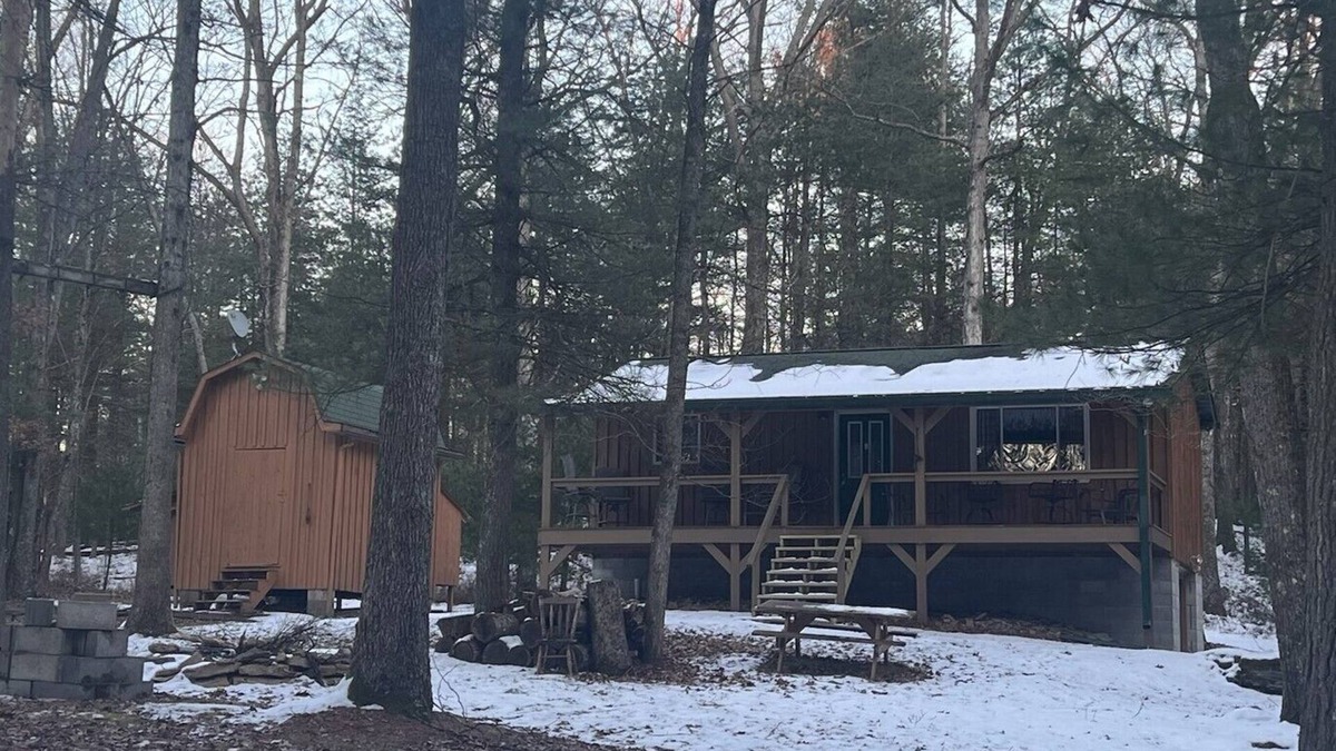 Frenchville Cabin | Cozy camp near the PA Elk herd in Karthaus & close enough to Penn State football