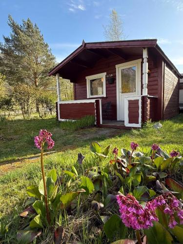 Strand Municipality Other | Cozy Camping Cabin