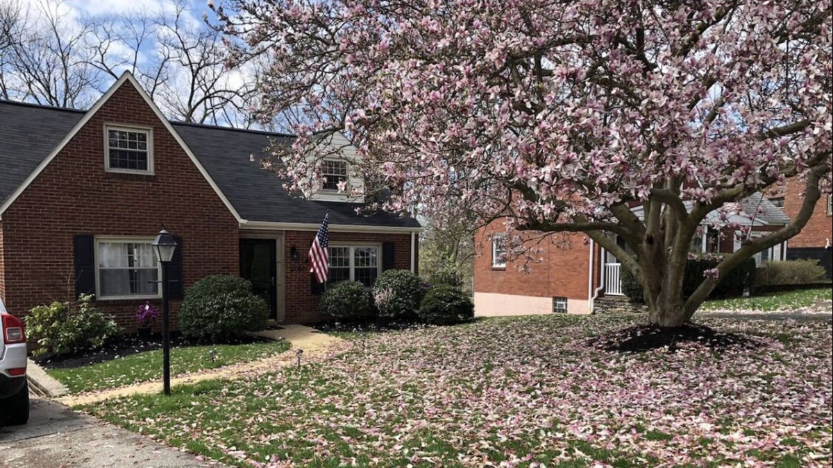 Upper St. Clair Cottage | Cozy Cape Cod with easy commute to the city!