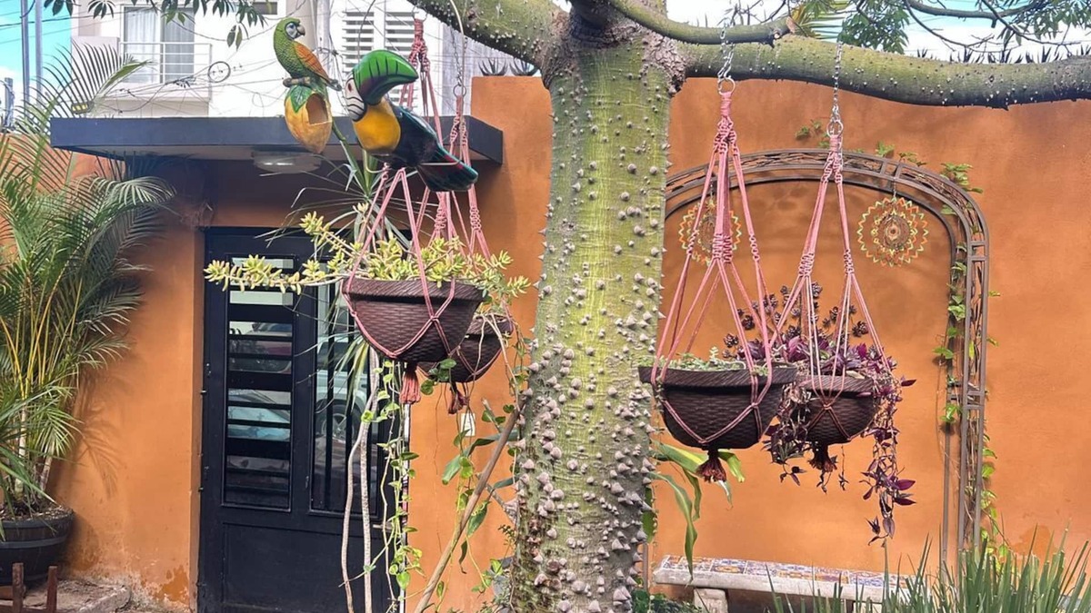 Tepic House | Cozy Casa Ceiba,Charming 2-bedroom house with WiFi, AC in brilliant Tepic