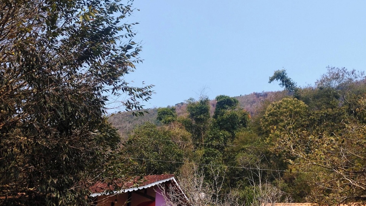 Sao Pedro da Serra Ski Chalet | Cozy chalet in Lumiar to enjoy nature in the middle of the Atlantic Forest.