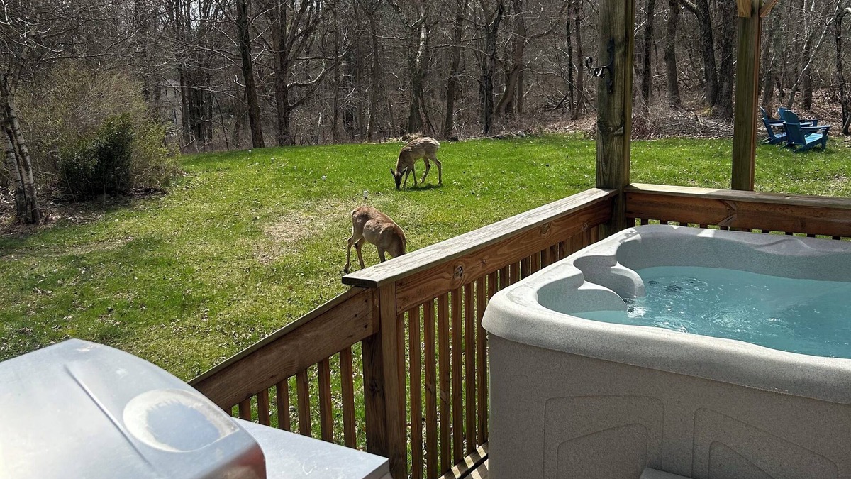 Long Pond Ski Chalet | COZY CHALET-CAMELBACK & KALAHARI; HOT TUB, PING PONG & POOL TABLE; GAS FIREPLACE