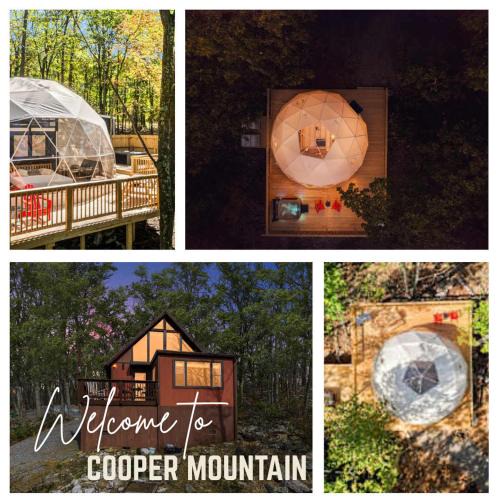 Capon Bridge House | Cozy Chalet & Luxe Domes Retreat w Stunning Views