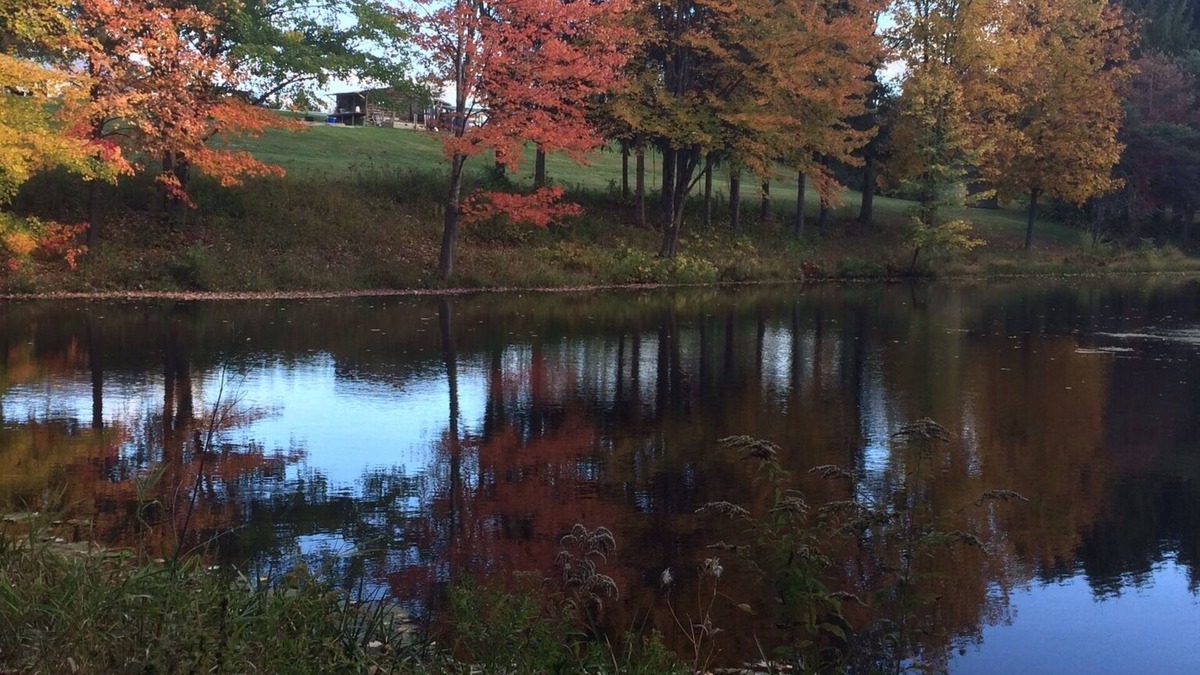 New Paltz Other | Cozy & Charming Farm House just 85 miles north of NYC