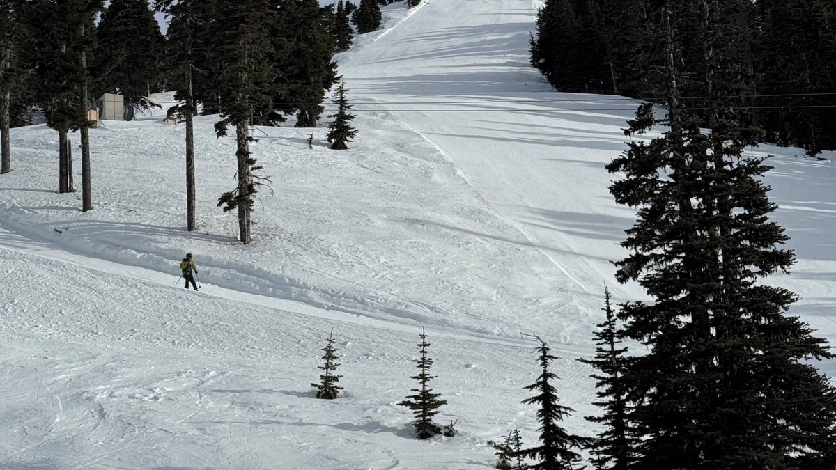 Courtenay Condo | Cozy condo on Mt Washington. Ski, bike, and hike the resort near Comox Valley.